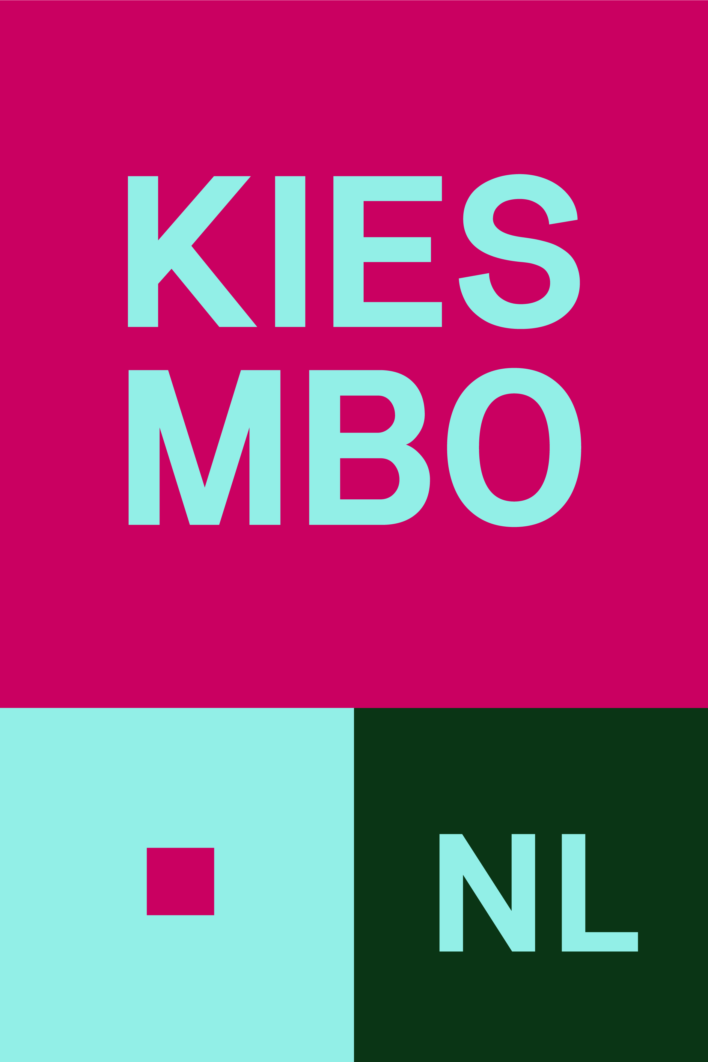 KiesMBO